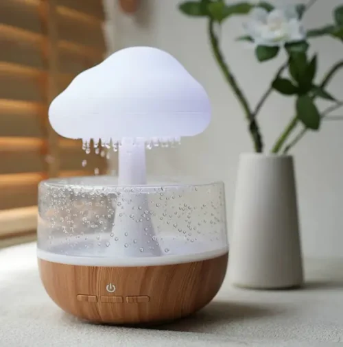 Rain Cloud Night Light Humidifier