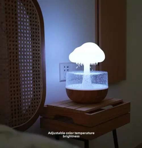 Rain Cloud Night Light Humidifier